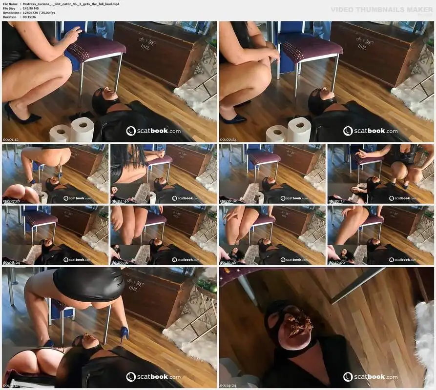 Mistress Luciana - Shit eater No. 3 gets the full load