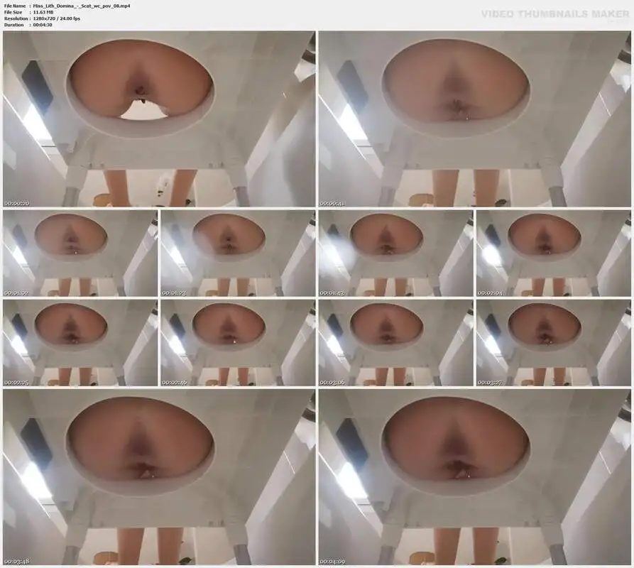 Miss Lith Domina - Scat wc pov 08