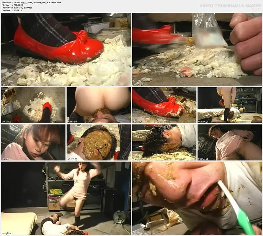 Fetidistrojp - Puke Training And Scatology!