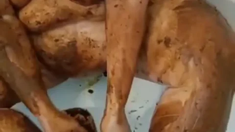 14 February 2023- JanineExtreme – I love shit – Amateurs