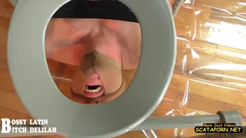 15 February 2023- TheOnlyScatQueenDelilah – My human toilete slave – Amateurs