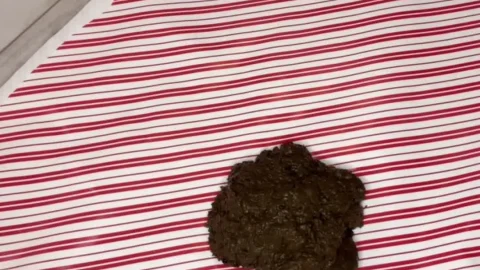 4 May 2023- Spoon-fed Shit Slave with PulsiferPaprocki – Amateurs