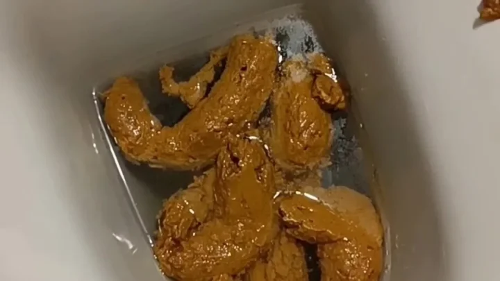 AinaraX – 22 Shitting WC