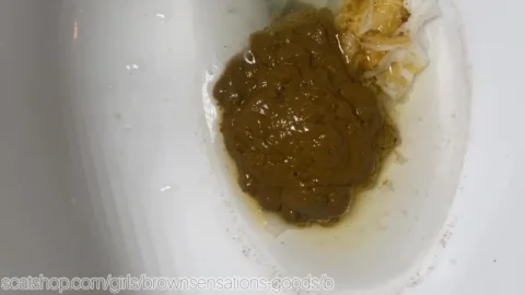 Brownsensations – Doggy solid with 3 toilet blowouts