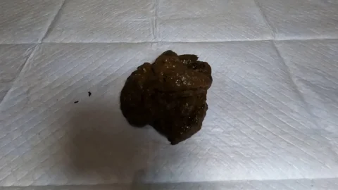 Classy N Gassy – giantess dominates you with poop