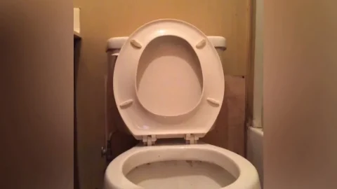 GoddessKinkyCaramel – Booty Shaking Pooping
