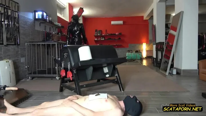 HIS FIRST SCAT MEAL – Fboom – Mistress Gaia