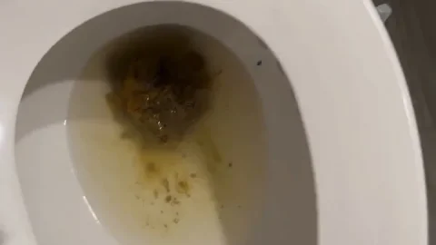 Kaitlyn Katsaros – Holy fuck lol