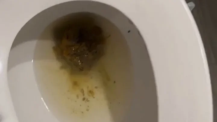 Kaitlyn Katsaros – Holy fuck lol