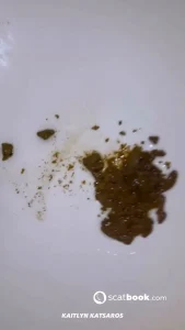 Kaitlyn Katsaros - My poops