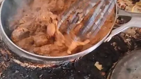 Kitty Skatt – Hot Sizzling Poop Stew Fresh From the Source