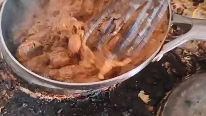 Kitty Skatt – Hot Sizzling Poop Stew Fresh From the Source