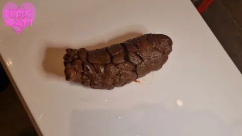 Kitty Skatt – Huge Urgent Toilet Lid Log