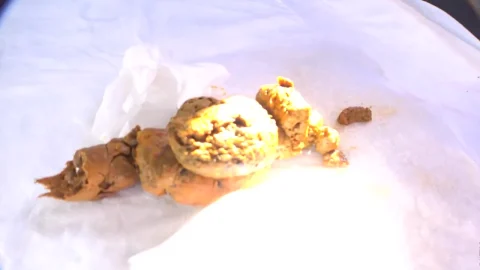 Merchant – Kazumi Massive Car Poop