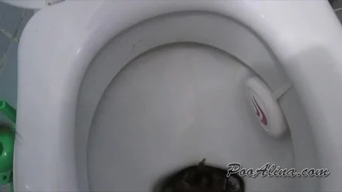 PooAlina – Young Alina big shitting on toilet in the morning 12