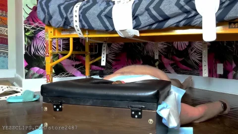 Poo Pig Learns New Tricks | Mix Femdom Online Tube