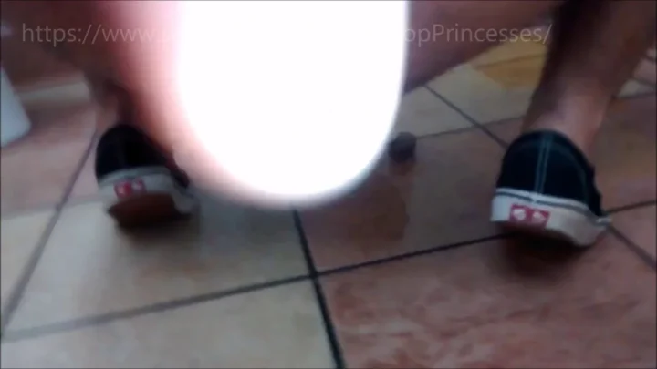 PoopPrincesses – Fuck WendyвЂ™s