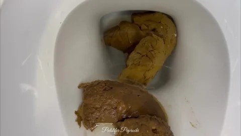 PulsiferPaprocki – Girthy Log – Toilet POV MP4 / FullHD 1080p
