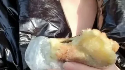 Scat Lina – Shitty pies 2