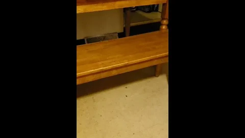 scatqueenstaxxx – Shitted on myself in the kitchen